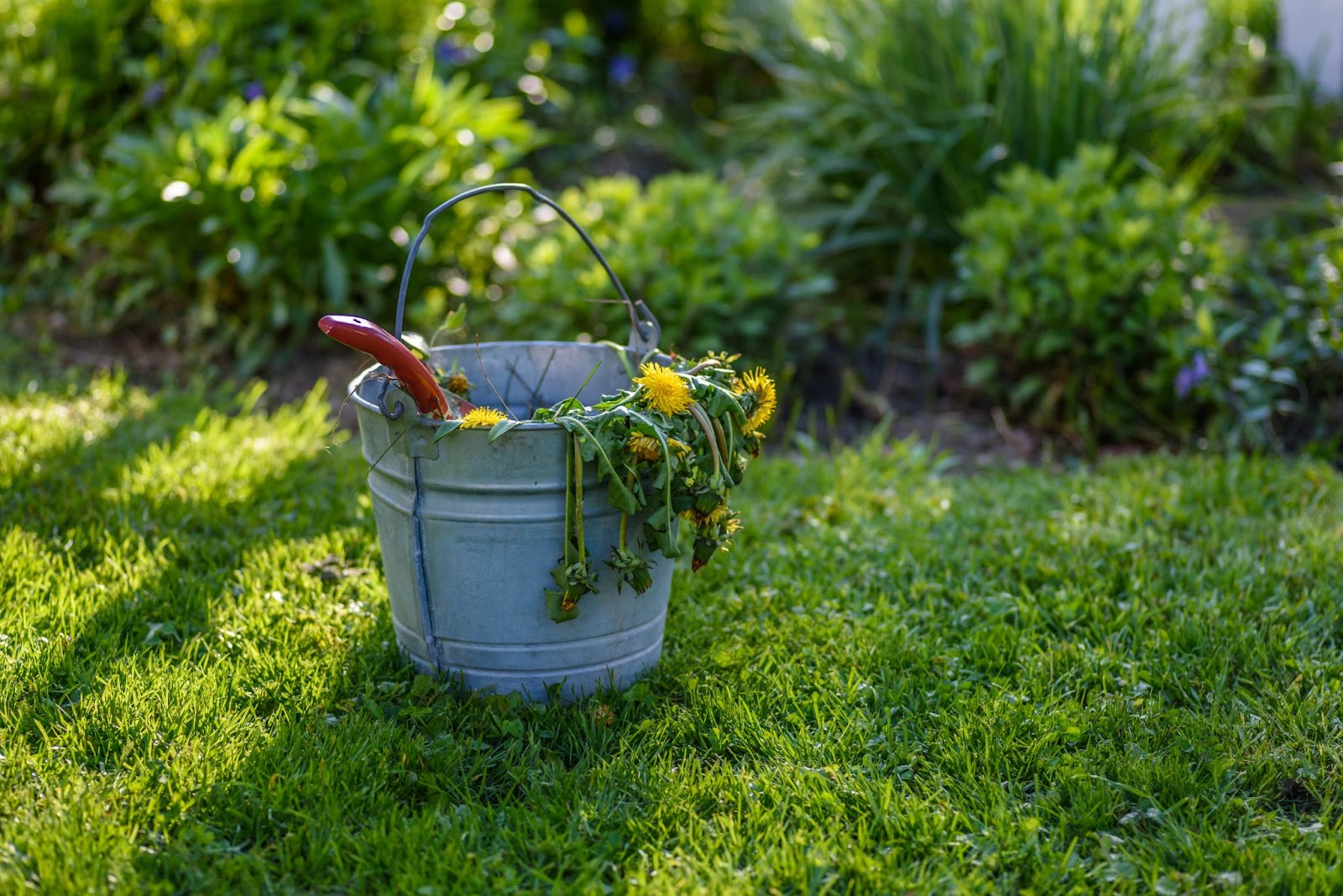 Fertilization and Weed Control