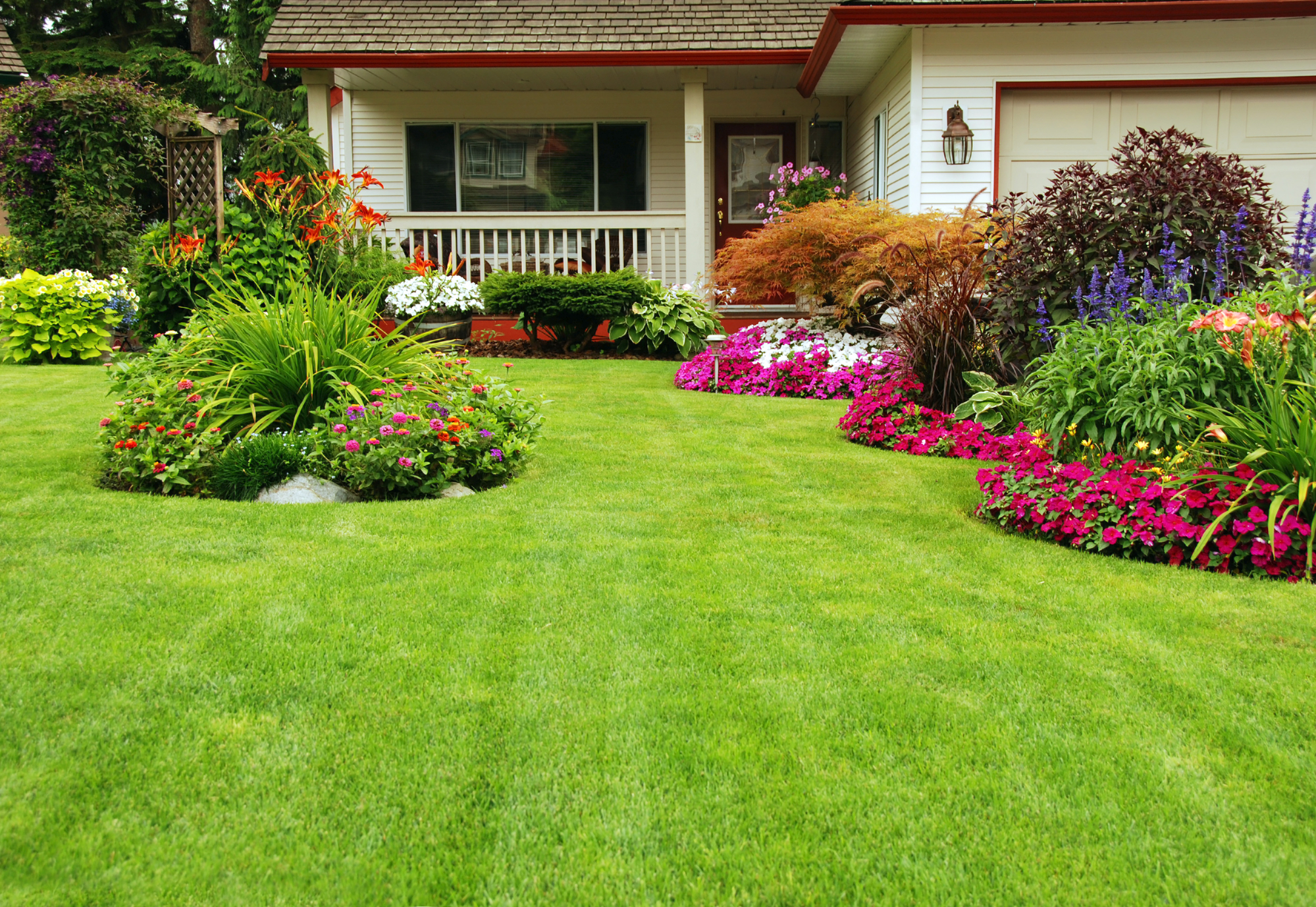 Lawn Fertilization and Weed Control Services